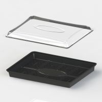 Крышка для контейнера для суши, 306*216*43мм, прозрачная