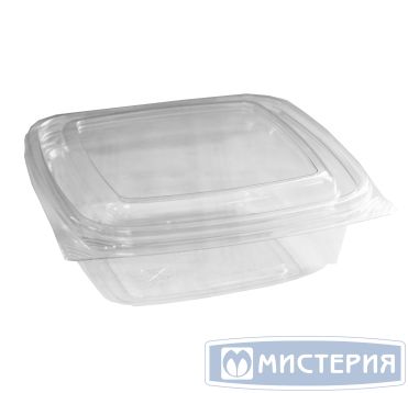 Контейнер квадратный 172х167х55мм, 750 мл, прозрачный